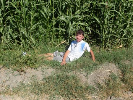 radoine mon ami..